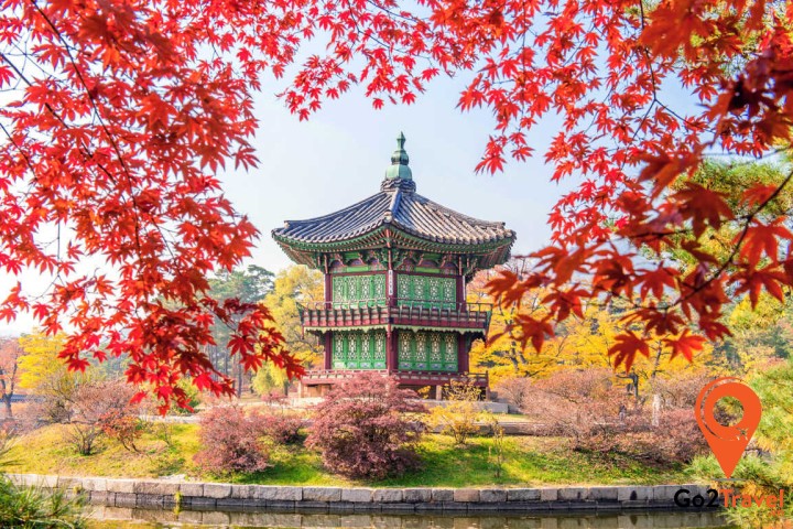 Mùa thu được coi là thời gian thích hợp nhất để đi du lịch Hàn Quốc