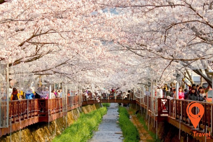 Xứ sở kim chi là một điểm đến mơ ước của nhiều bạn