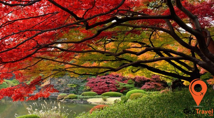 kinh nghiệm xin visa du lịch nhật bản