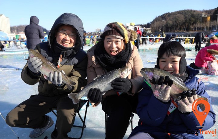 lễ hội câu cá hồi trên băng ở Hwacheon