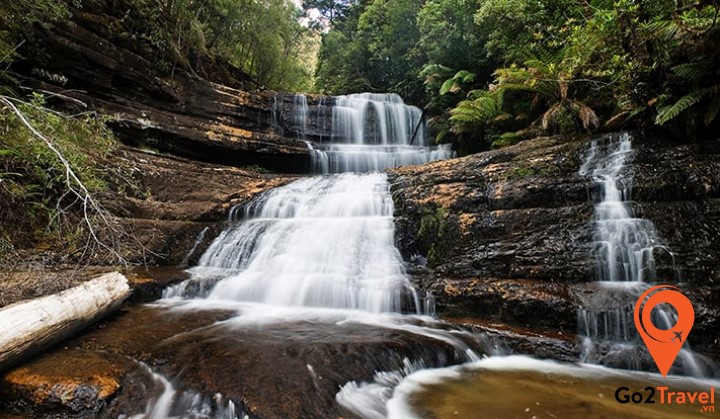 chiêm ngưỡng ngọn thác 3 tầng Russell, rừng dương xỉ và những cây cổ thụ