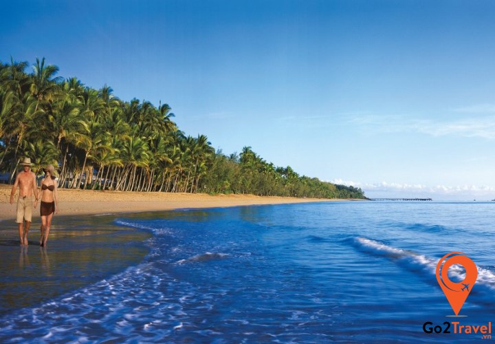 Dọc bờ biển Palm Cove còn có hàng dừa xanh che bóng mát