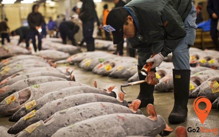 Đến chợ cá Tsukiji du khách sẽ được thưởng thức muôn ngàn những món ăn hấp dẫn từ hải sản tươi ngon