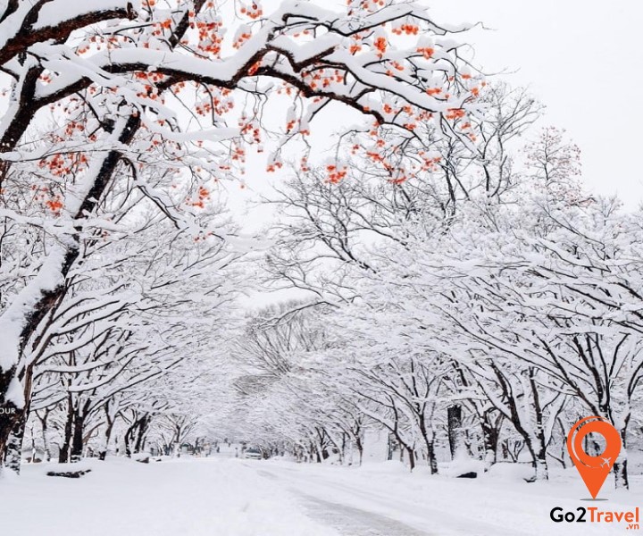 Mùa đông tại đây rất lạnh nên cần phải có sự chuẩn bị đầy đủ các vật dụng cần thiết