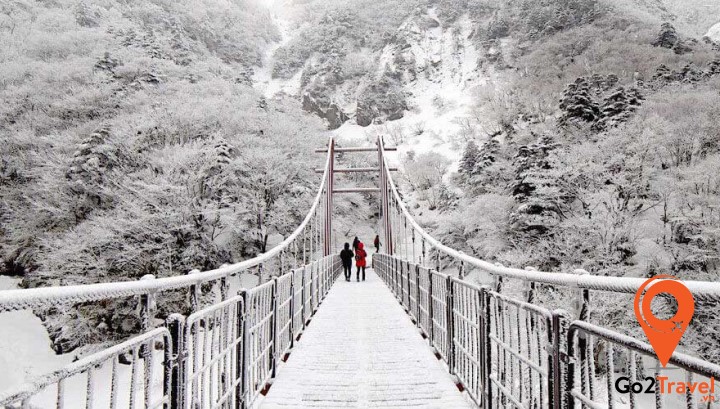 Nami mùa đông phủ đầy tuyết trắng