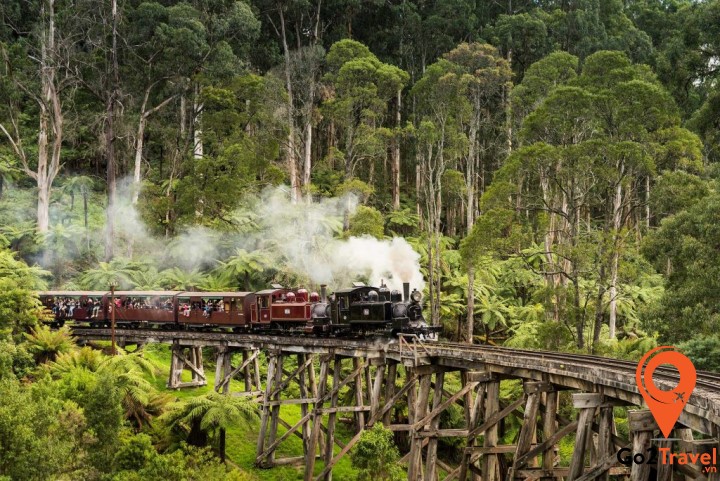 Đi tàu hơi nước