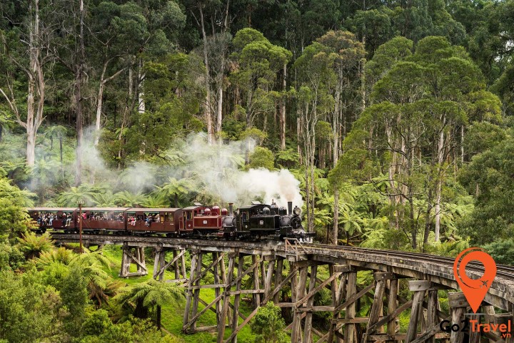 Puffing Billy là chuyến tàu hơi nước cổ nổi tiếng của Úc