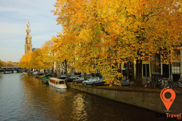 Mùa thu lá vàng phủ đầy những con đường