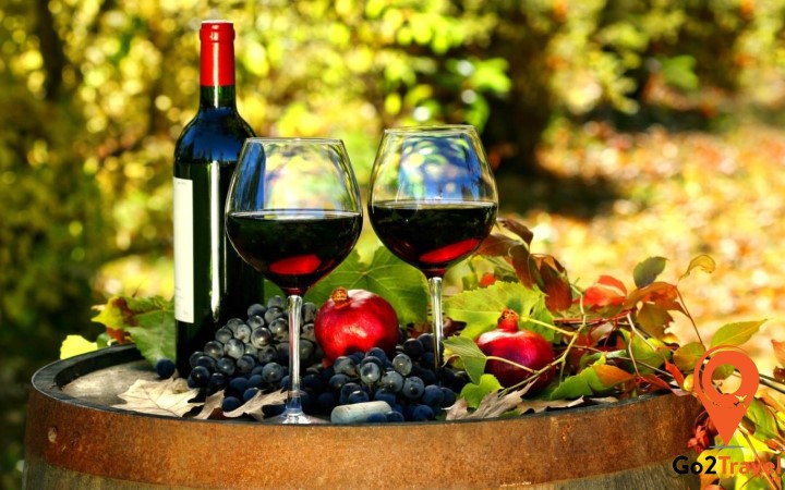 Pháp là một trong những quốc gia Châu Âu có lịch sử lâu đời về sản xuất rượu nho