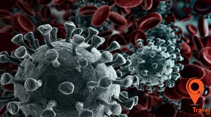 Du lịch an toàn giữa mùa dịch viêm phổi corona
