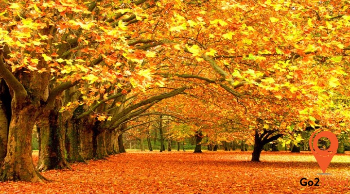 Mùa thu nước Nga