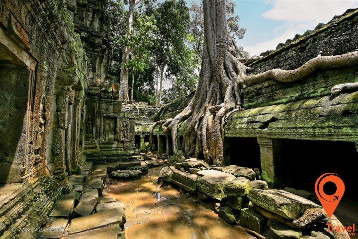 Ta Prohm - ngôi đền bị ngự trị bởi những rễ cây khổng lồ