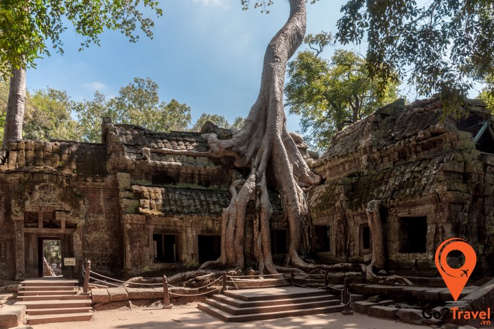 Ta Phrom trở nên thu hút chính là những chiếc rễ cây