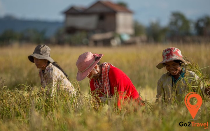 Nông nghiệp là một trong những ngành kinh tế trụ cột của Campuchia