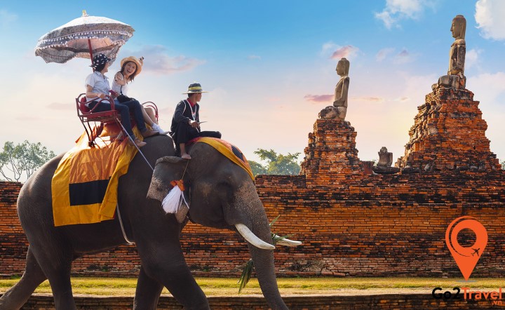 Cùng trải nghiệm cảm giác khi được du ngoạn trên lưng voi