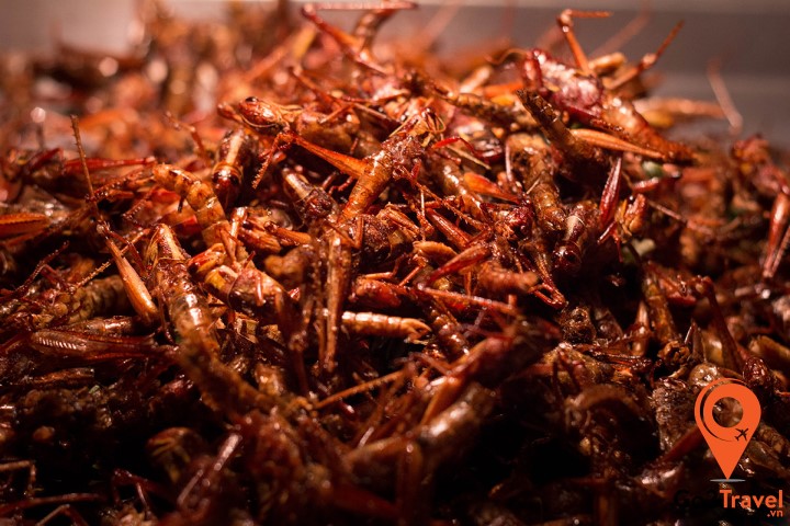 Món côn trùng chiên